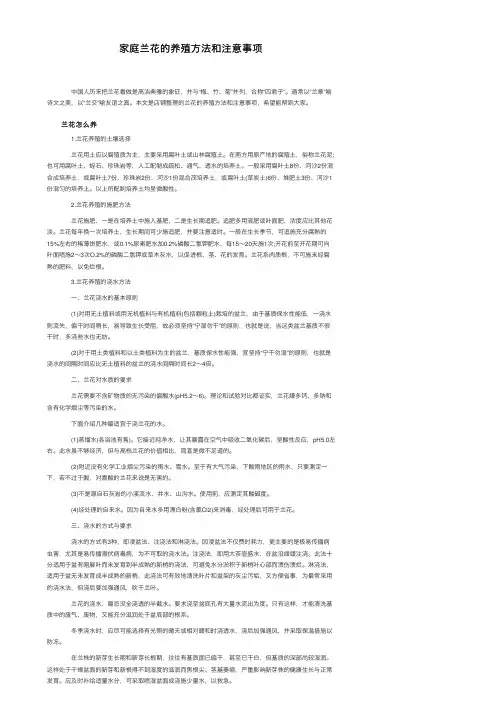 家庭兰花的养殖方法和注意事项