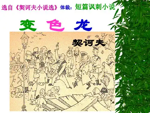 变色龙