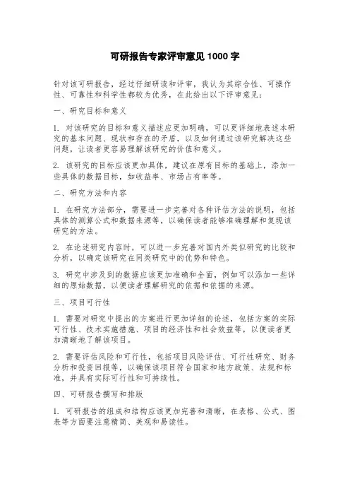可研报告专家评审意见