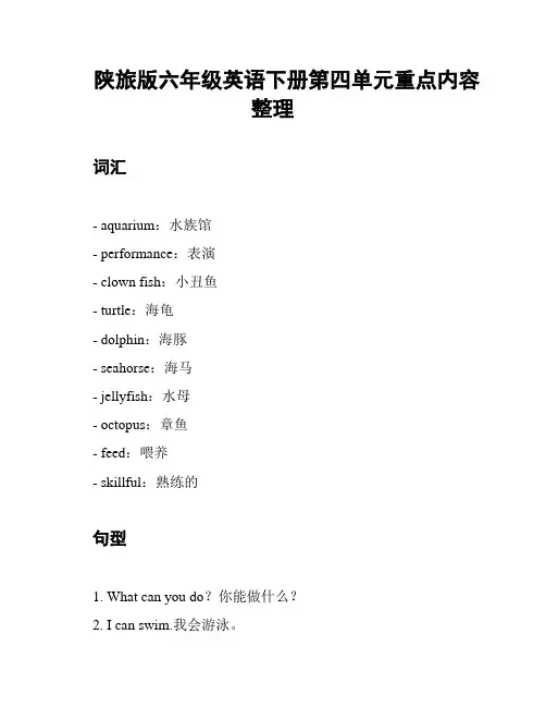 陕旅版六年级英语下册第四单元重点内容整理