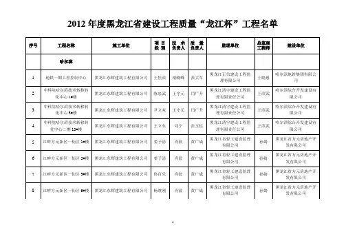 龙江杯doc
