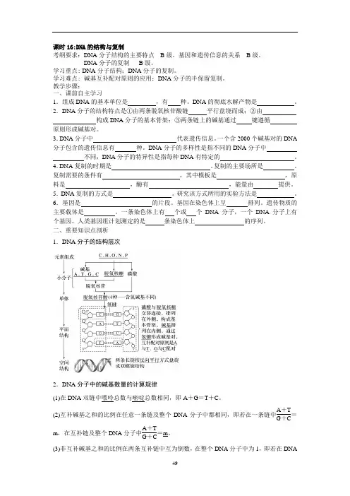 高三一轮复习生物教学案课时16：DNA的结构和复制