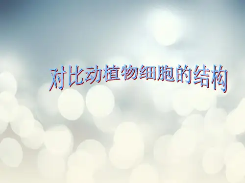 对比动植物细胞的结构PPT教学课件