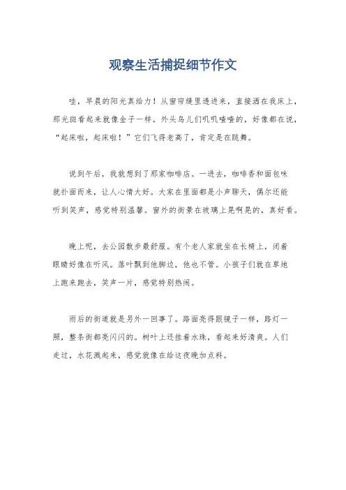 观察生活捕捉细节作文