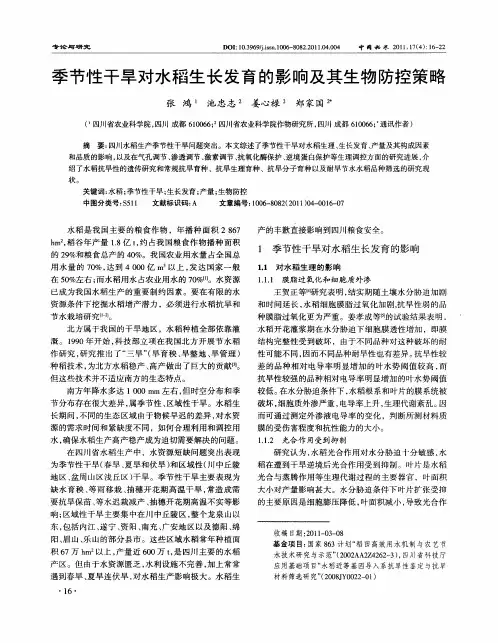 季节性干旱对水稻生长发育的影响及其生物防控策略