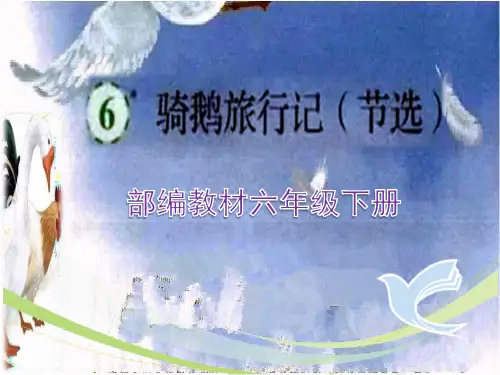 部编版六年级下册《骑鹅旅行记》精品课件ppt