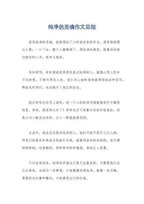 纯净的灵魂作文总结