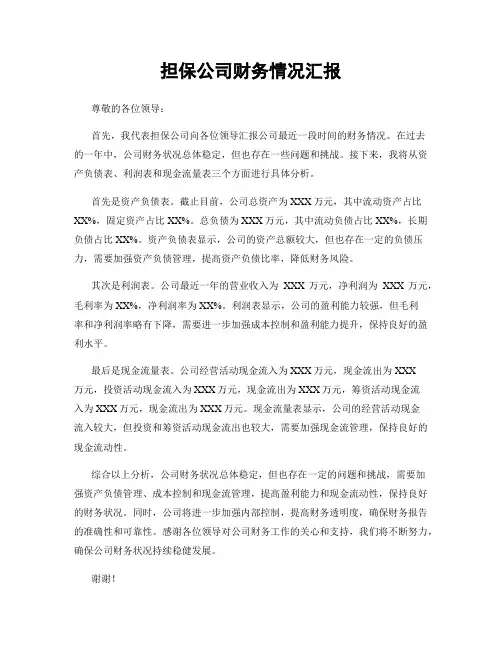 担保公司财务情况汇报