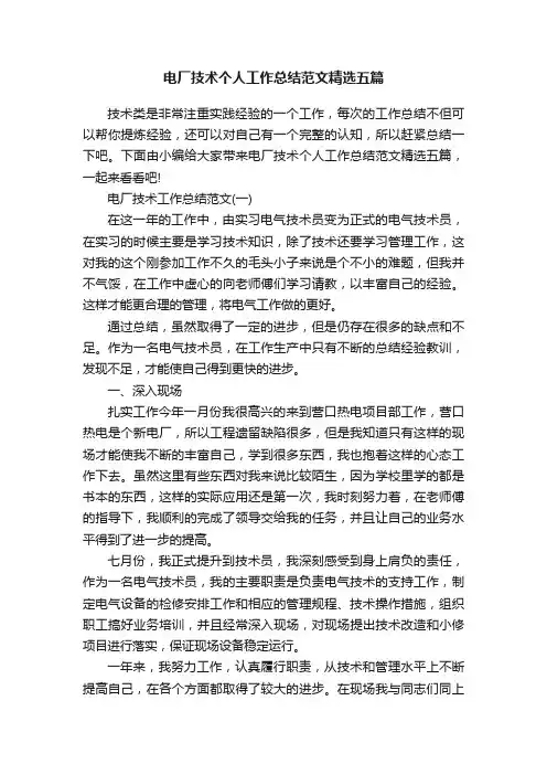 电厂技术个人工作总结范文精选五篇