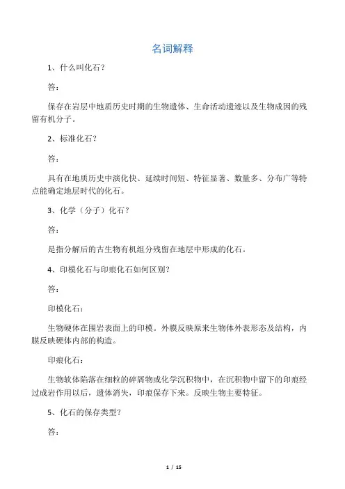 古生物地层学复习资料