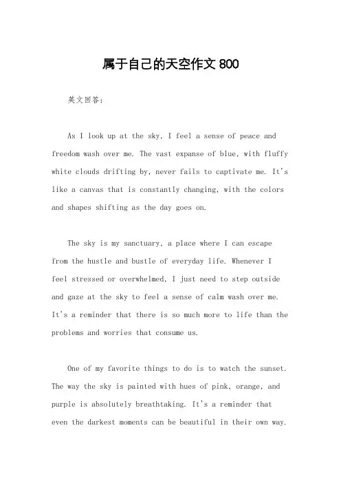 属于自己的天空作文800