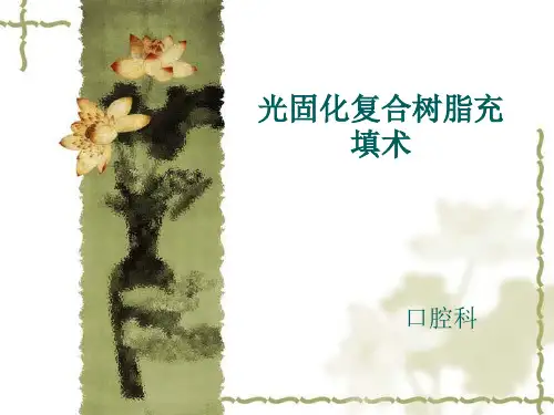 光固化树脂充填术
