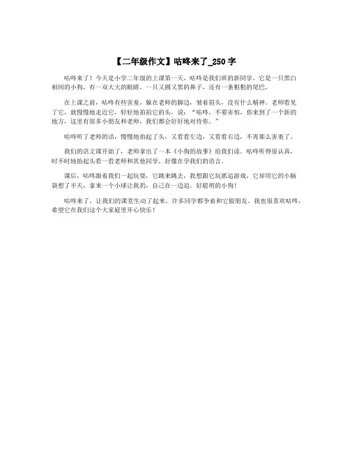 【二年级作文】咕咚来了_250字