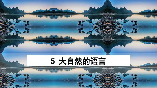 《大自然的语言》ppt课件