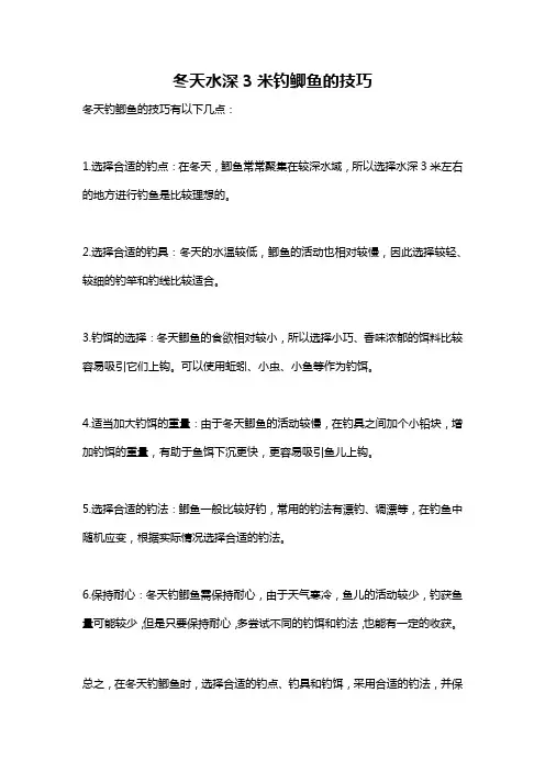 冬天水深3米钓鲫鱼的技巧
