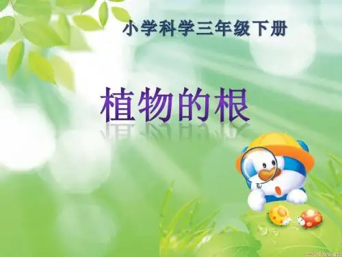 植物的根