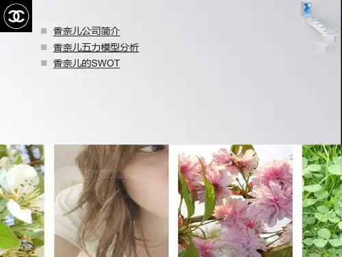 有关香奈儿的五力模型和SWOT