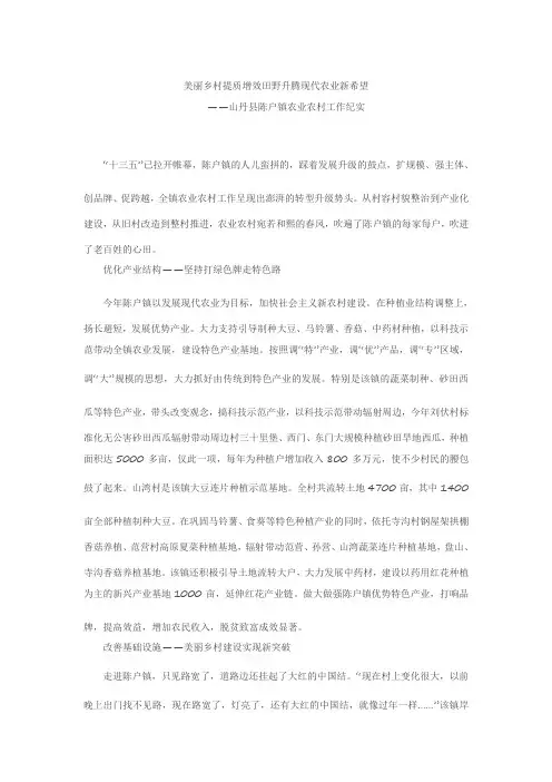 美丽乡村提质增效田野升腾现代农业新希望