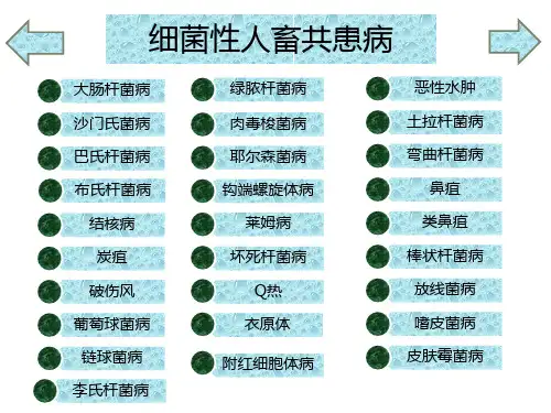 细菌性人畜共患病总