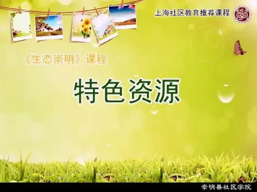 崇明的古树名木第四节古树名木