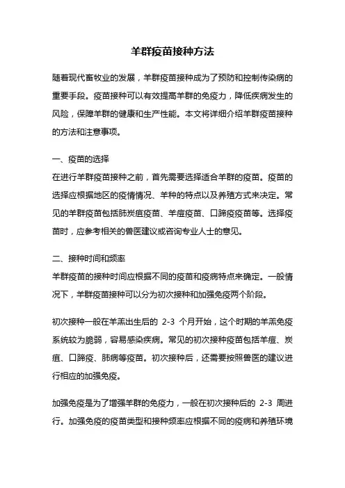 羊群疫苗接种方法