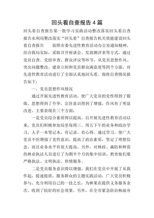 回头看自查报告4篇