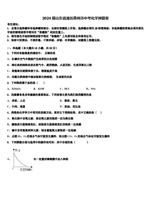 2024届山东省潍坊青州市中考化学押题卷含解析