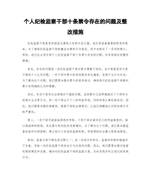 个人纪检监察干部十条禁令存在的问题及整改措施
