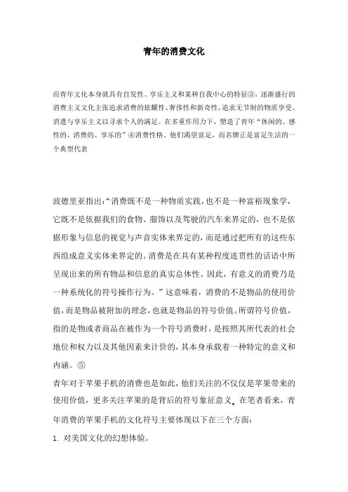消费文化的资料