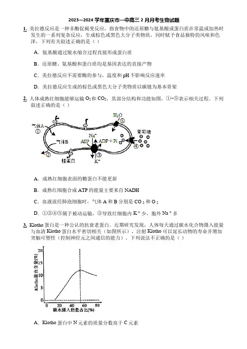 2023—2024学年重庆市一中高三2月月考生物试题