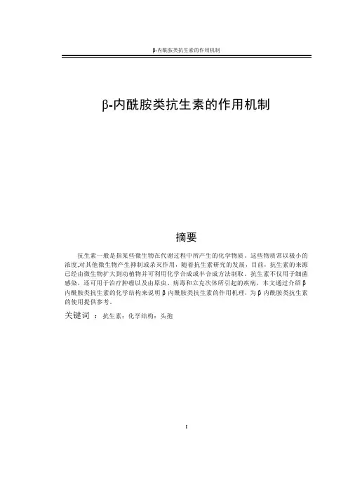 β-内酰胺类抗生素的作用机制