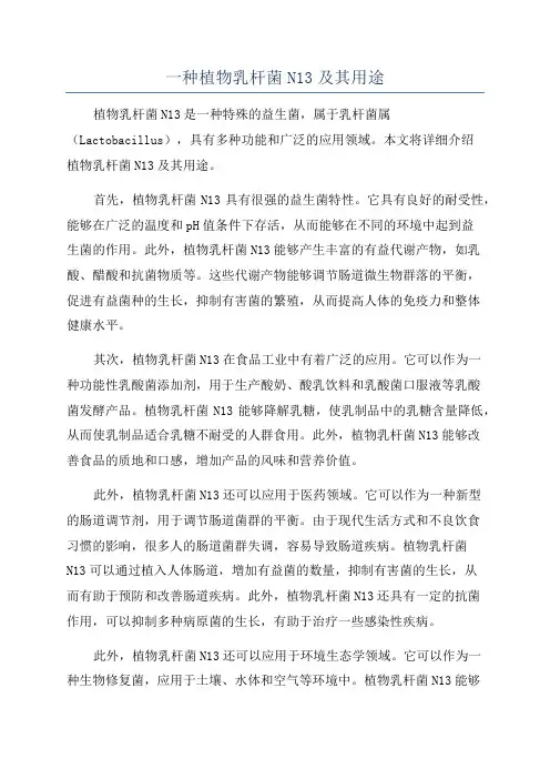 一种植物乳杆菌N13及其用途