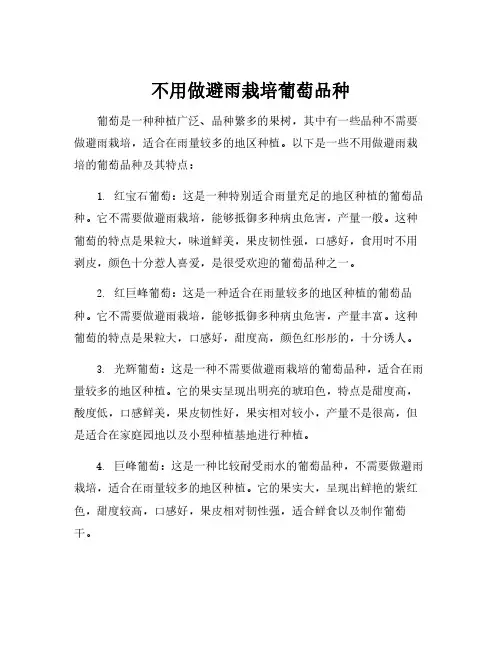 不用做避雨栽培葡萄品种