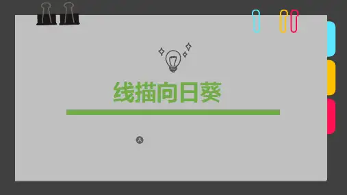 2024年《线描向日葵》-美术课件