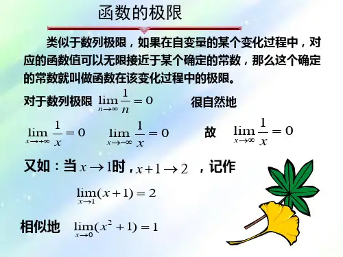 大学数学函数的极限-PPT