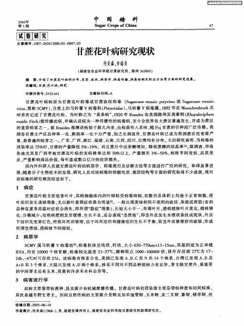 甘蔗花叶病研究现状