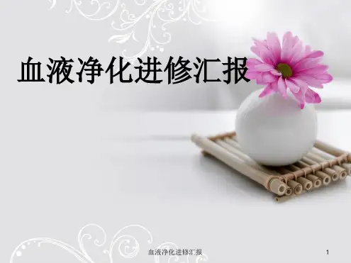 血液净化进修汇报最新优质PPT课件