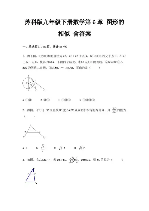 苏科版九年级下册数学第6章 图形的相似 含答案