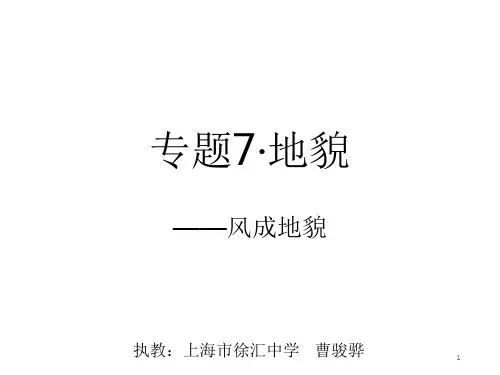 风成地貌(课堂PPT)