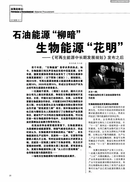 石油能源“柳暗” 生物能源“花明”——《可再生能源中长期发展规划》发布之后