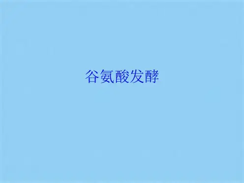 谷氨酸发酵(共16张PPT)