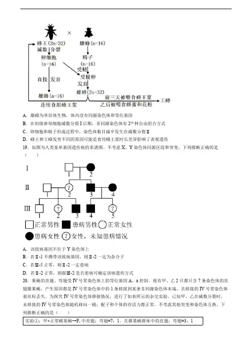 山东省菏泽市曹县第一中学2023-2024学年高一下学期第二次月考生物试题(含答案)