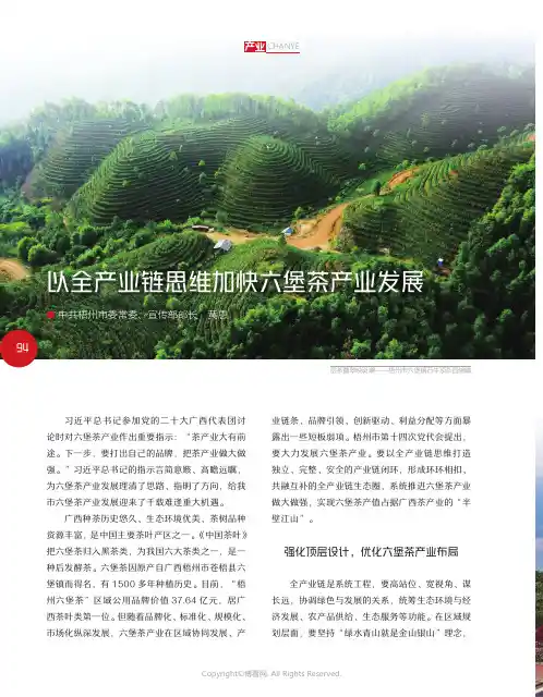 以全产业链思维加快六堡茶产业发展