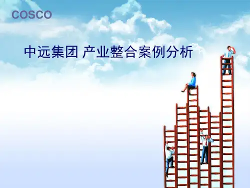 中远集团  案例分析