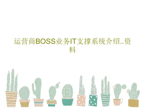 运营商BOSS业务IT支撑系统介绍..资料45页文档