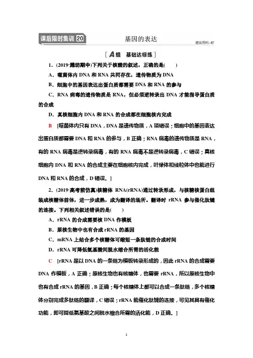 人教版高中生物一轮复习(基因的表达
