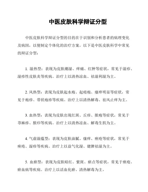 中医皮肤科学辩证分型