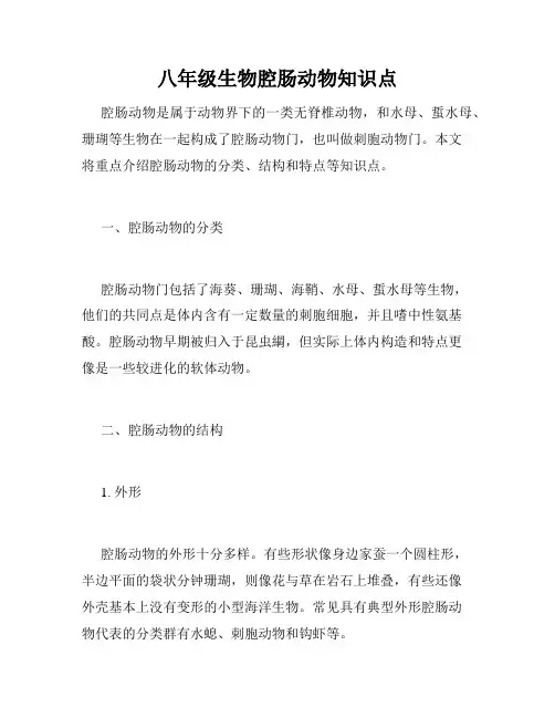 八年级生物腔肠动物知识点