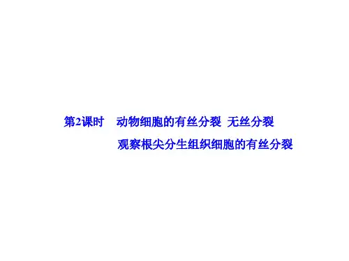 动物细胞的有丝分裂  无丝分裂  观察根尖分生组织细胞的有丝分裂  课件