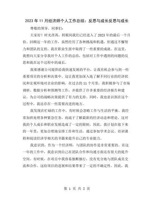 2023年11月经济师个人工作总结：反思与成长